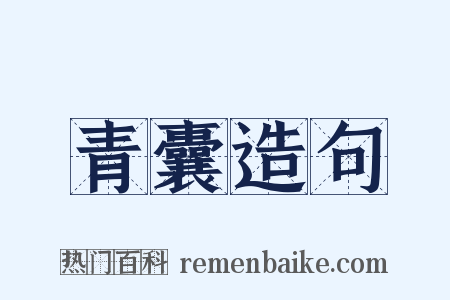 青囊造句是什么意思的图片